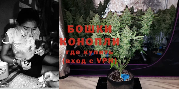 МДПВ Мегион