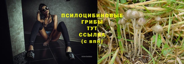прущие крисы Дегтярск