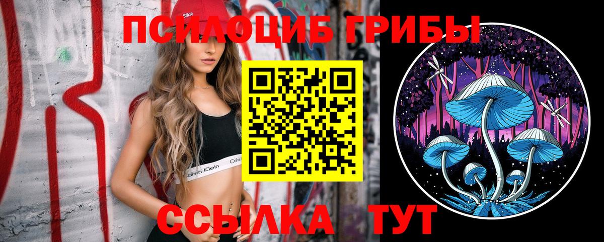 Галлюциногенные грибы мухоморы Минеральные Воды
