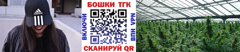 сайты даркнета как зайти  гидра зеркало  Минеральные Воды  Шишки марихуана тримм 